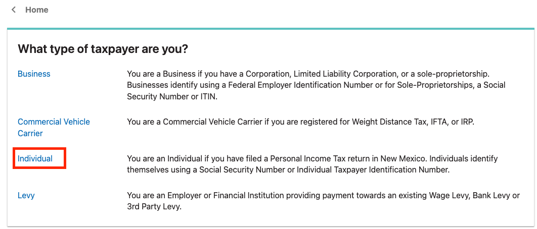 New Mexico Make a payment Individual.png